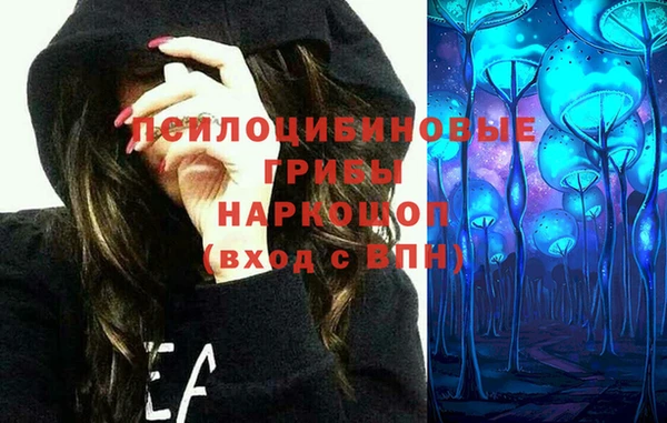 молекула духа Арсеньев