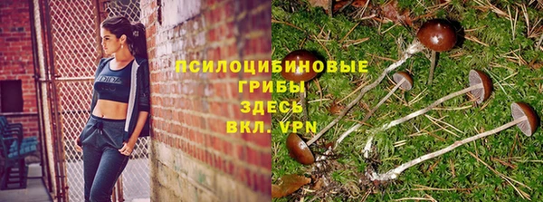 МДПВ Балахна